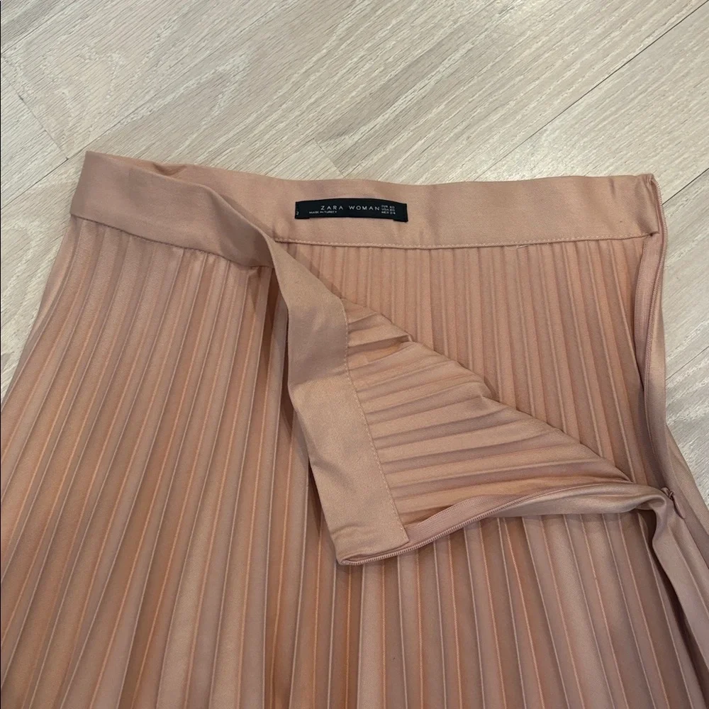 Zara Rose A-Line Pleated Skirt - Picture 3 of 4